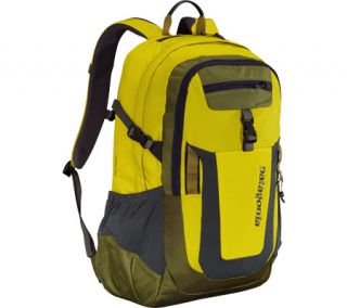 Patagonia Fuego Pack   Willow Herb Green Computer Cases