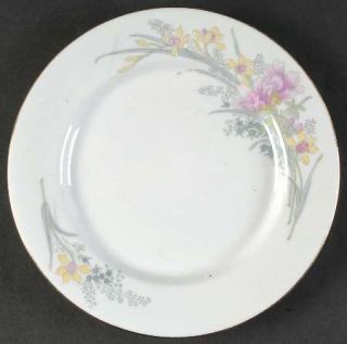 Jamestown Jam2 Salad Plate, Fine China Dinnerware   Action Industries, Pink&Yell