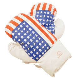 Defender Usa 4 ounce Boxing Gloves