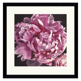 J and S Framing LLC Peony I Framed Wall Art   16.87W x 17H in. Multicolor  