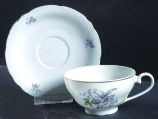 Europa Wild Flower Footed Cup & Saucer Set, Fine China Dinnerware   Gray/Blue Fl
