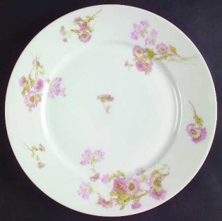 Haviland Schleiger 237j Dinner Plate, Fine China Dinnerware   H&Co,Smooth,Pink D