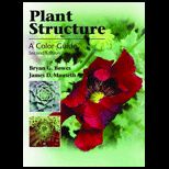 Plant Structure