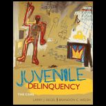 Juvenile Delinquency  The Core