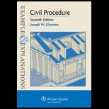 Civil Procedure  Examples and Explanations