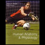 Anatomy and Physiology Nasta Edition