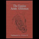 Equine Acute Abdomen