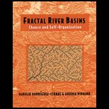 Fractal River Basins