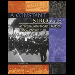 Constant Struggle African American History 1865 Present