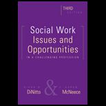 Social Work  Issues and Opportunities in a Challenging Profession