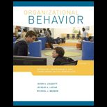 Organizational Behavior With Access