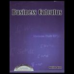 Business Calculus