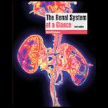 Renal System at a Glance