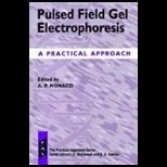 Pulsed Field Gel Electrophoresis