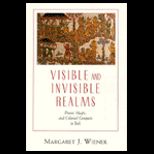 Visible and Invisible Realms  Power, Magic, and Colonial Conquest in Bali