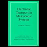 Electronic Transport in Mesoscopic Systems
