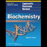 Biochemistry, Lippincotts Illustrated Reviews Series  With Access