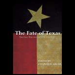 Fate of Texas Civil War and Lone Star State