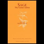 Sage Genus Salvia