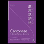 Cantonese  A Comprehensive Grammar