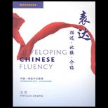 Developing Chinese Fluency  Workbook