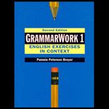 Grammarwork 1  English Exercises in Context