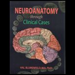 Neuroanatomy Through Clinical Cases