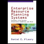 Enterprise Resource Planning Systems  Systems, Life Cycle, Electronic Commerce, and Risk