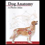 Dog Anatomy Photo Atlas