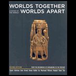 Worlds Together, Worlds Apart  A History of the World from the Beginnings of Humankind to the Present