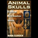 Animal Skulls