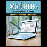 Accounting Using Excel for Success