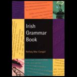Irish Grammar Book