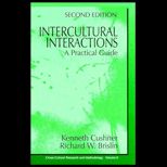 Intercultural Interactions  A Practical Guide