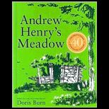 Andrew Henrys Meadow