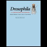 Drosophila Laboratory Handbook