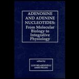 Adenosine and Adenine Nucleotides  From Molecular Biology to Integrative Physiology