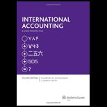 International Accounting User Perspectives