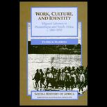 Work, Culture, and Identity
