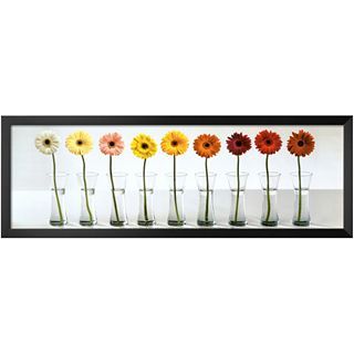 ART Gerbera Spectrum Framed Print Wall Art