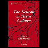 Neuron in Tissue Culture