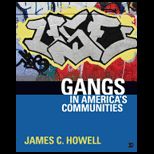 Gangs in Americas Communities