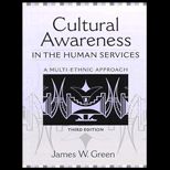 Cultural Awareness in the Human Services  A Multi Ethnic Approach