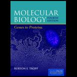 Molecular Biology Genes to Proteins   With Access