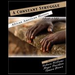 Constant Struggle African American History 1619 1865