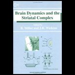 Brain Dynamics and Straital Complex