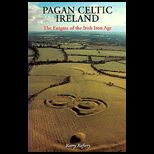 Pagan Celtic Ireland  The Enigma of the Irish Iron Age