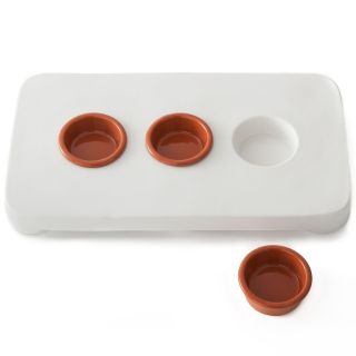 MICHAEL GRAVES Design Serving Platter with Sauce Cups