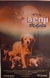 Benji the Hunted Movie Poster