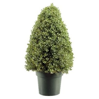 30 Boxwood Tree w/ Green Pot